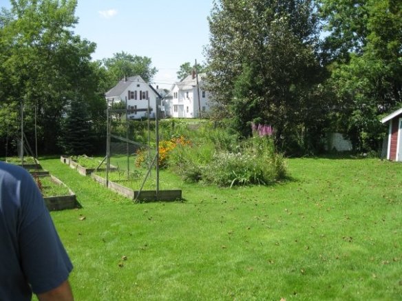 Big backyard. Green in summer, white in winter. Great pictures, Dawn.