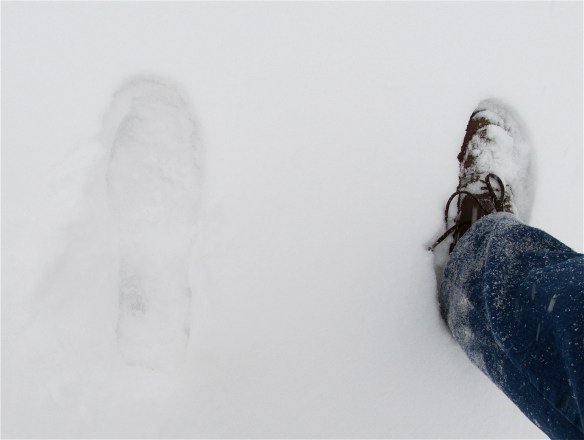 HOW DEEP? ANKLE DEEP, OR MORE. (John Hayden photo)