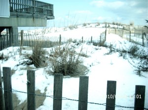 SAND DUNES COVERED WITH SNOW.  John Hayden photo