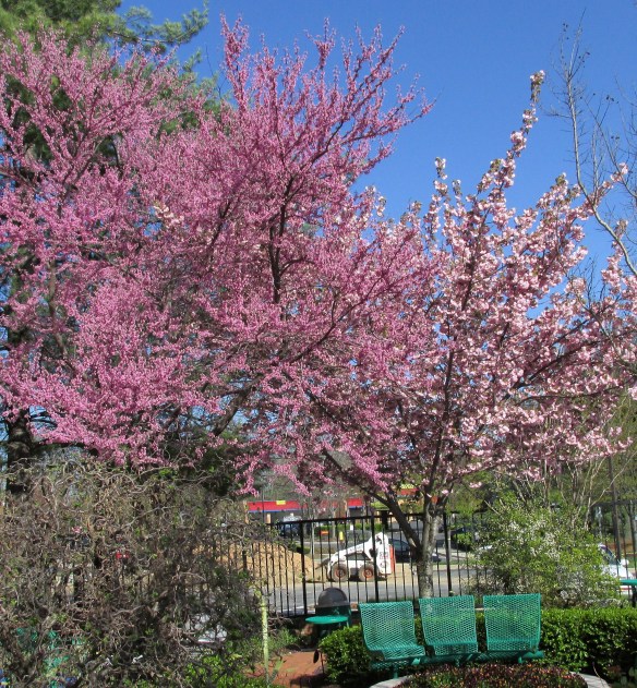 Someplace in Gaithersburg, MD, 04-24-15.